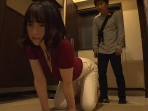 Isshiki Saiiro: Cửa hàng của chị em
